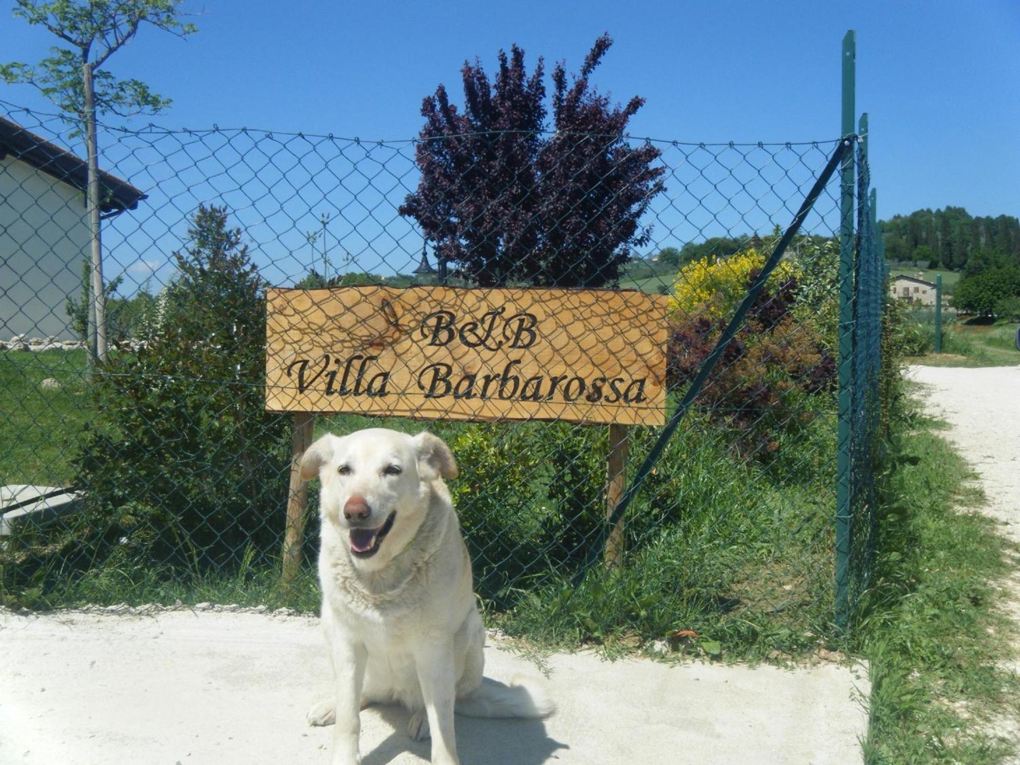 B&B Villa Barbarossa Petrignano Luaran gambar